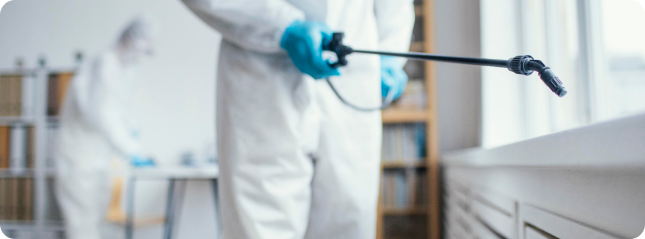 Residential Pest Control Melbourne Services